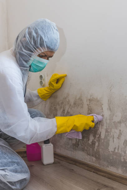 Best Mold Prevention Services  in Guymon, OK